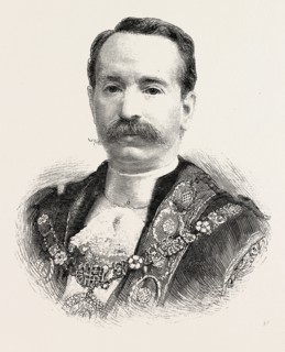 THE NEW LORD MAYOR, MR. ALDERMAN DAVID EVANS