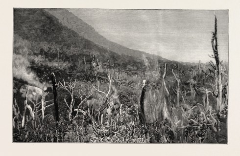 THE SULPHUR GROUNDS, OJIGOKU (GREAT HELL), NEAR LAKE HAKONE, JAPAN, "Sulphurous smoke issues from