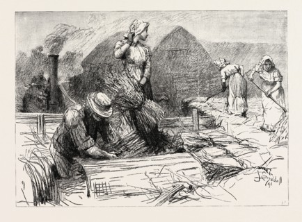 TESS OF THE D'URBERVILLES: "It was not till about three o'clock that Tess raised her eyes and gave