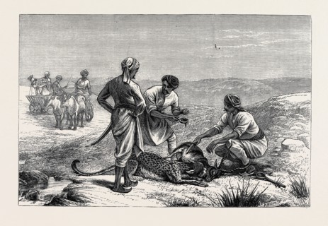 SKETCHES FROM INDIA, ANTELOPE HUNTING: "CAUGHT"