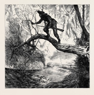 AMERICAN SKETCHES: "ON THE SCOUT", A SCENE IN THE BACKWOODS