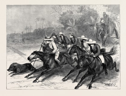 THE LATE LORD MAYO HOG HUNTING AT PANGSA, EASTERN BENGAL