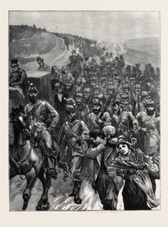 THE BRIGHTON REVIEW: "ON THE DOWNS"