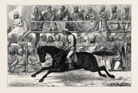 SKETCHES FROM INDIA: THE PRELIMINARY CANTER AT AN UP-COUNTRY RACE MEETING