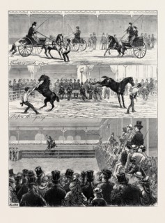 A PARISIAN HORSE SHOW