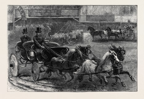 FOUR-IN-HAND AND TANDEM PONIES AT THE HORSE SHOW