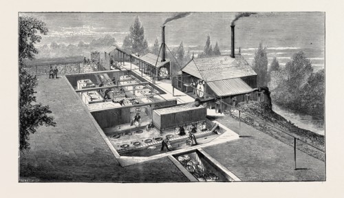 SCENE AT AN AUSTRALIAN SHEEP STATION, COLLAROY, NEW SOUTH WALES: THE NEW PLAN OF SHEEPWASHING