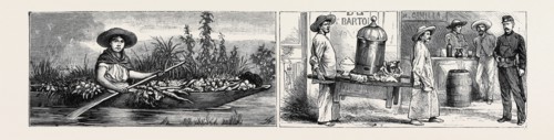 MEXICO: VEGETABLE MERCHANT (LEFT), TRIPE MERCHANTS (RIGHT)