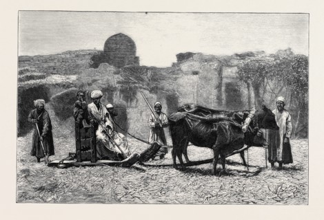 A NATIVE CHAFF-CUTTING MACHINE, EGYPT