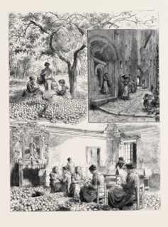 HER MAJESTY'S VISIT TO MENTONE: 1. GATHERING LEMONS AT MENTONE; 2. MAISON BOTTINI, FORMERLY THE