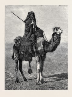 EGYPT: A TRAVELLING BEDOUIN