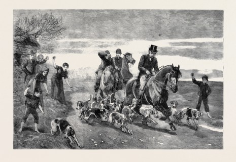 THE CONDITION OF IRELAND: "THE PLEASURES OF HUNTING"
