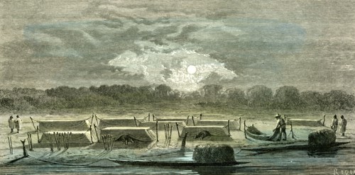 Mosquito Nets, 1869, Peru