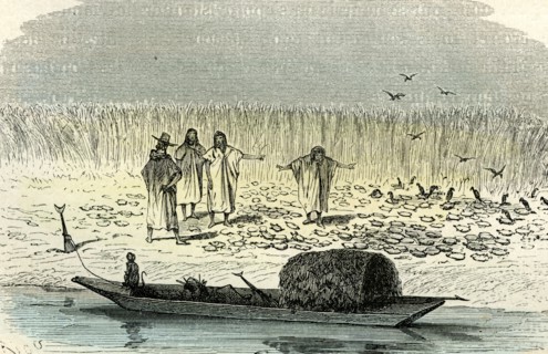 A massacre of turtles, 1869, Peru