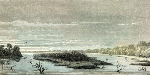 Apu-Paro River, 1869, Peru