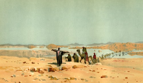 Sahara, 19th century, desert, camels