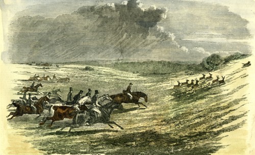 Lyndhurst, New Forest, U.K., 1850, chase of a jackal, hunt
