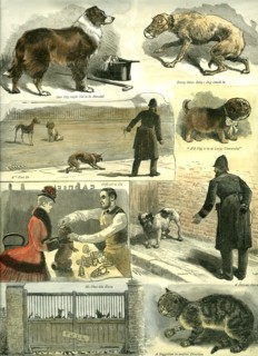 Dogs, U.K., police regulations, 1885, cat, man, woman, hat, cane