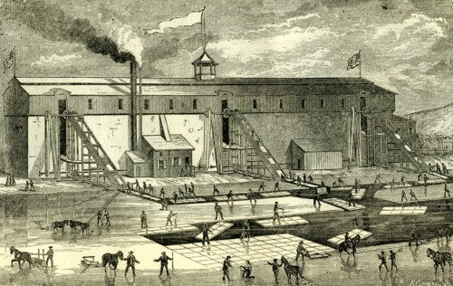 Ice Industry; U.S.A.; 1881; winter view of elevating ice into buildings