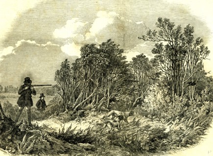 Pheasant Shooting, U.K., 1850
