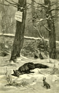 Hunting, Fox, Austria 1891