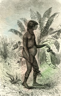 Conibo Girl, Peru, 1869