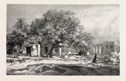 OLD AQUEDUCT.  Egypt, engraving 1879