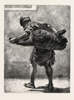 THE WATER-CARRIER.  Egypt, engraving 1879