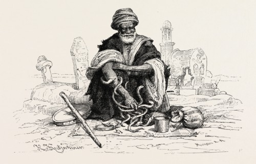 SNAKE-CHARMER.  Snake charming is the practice of pretending to hypnotise a snake by playing an
