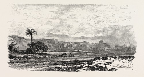 ROAD TO THE PETRIFIED FOREST.  Egypt, engraving 1879