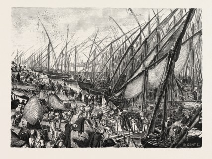HARBOUR OF BOOLAK. Egypt, engraving 1879