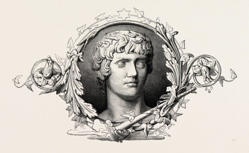 Egypt, ornament, engraving 1879