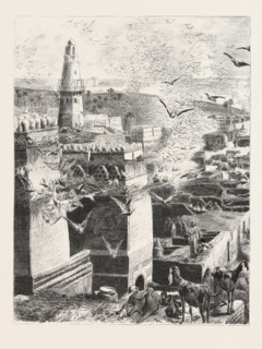 VILLAGE IN UPPER EGYPT. Egypt, engraving 1879