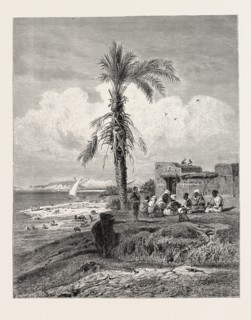 BANK OF THE NILE IN THE NEIGHBOURHOOD OF ABYDOS. Egypt, engraving 1879