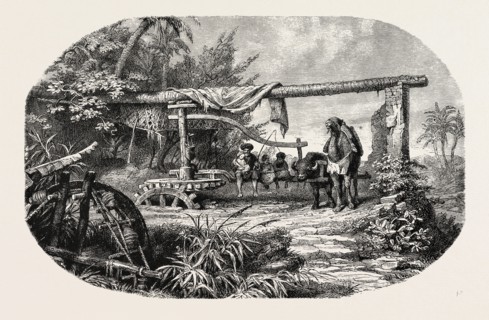 WATER-WHEEL. Egypt, engraving 1879