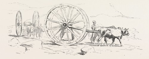 TRANSPORT OF STONE. Egypt, engraving 1879