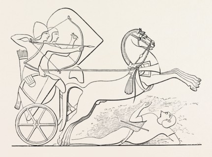 THE HORSE IN THE HEAT OF BATTLE. Egypt, engraving 1879