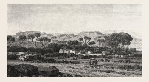 Village between Assouan and Philae. Egypt, engraving 1879