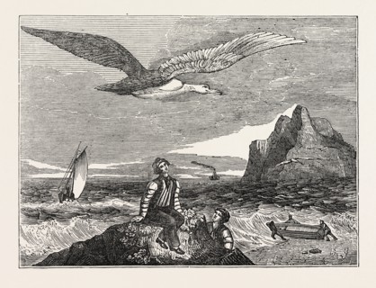 THE WANDERING ALBATROSS