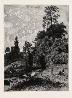 A VIEW IN ABYSSINIA. Ethiopia, Ethiopian Empire.