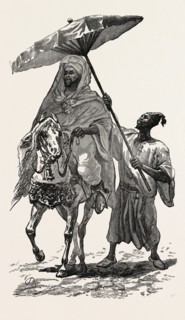 THE SULTAN OF MOROCCO