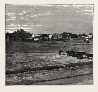 VIEW OF POTCHEFSTROM, IN THE TRANSVAAL, SOUTH AFRICA