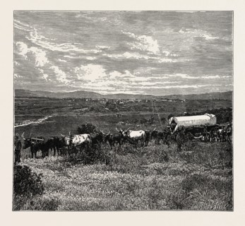 VIEW OF PRETORIA, THE CAPITAL OF THE TRANSVAAL. Pretoria is a city in the northern part of Gauteng