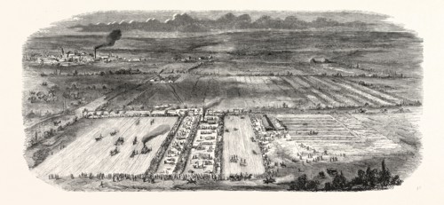 agricultural exhibition in Trappes (Seine-et-Oise), in the farm of Mr. Dailly, 14 August 1855, with
