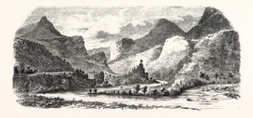 State Honduras. Course of the river Mejecote. engraving 1855