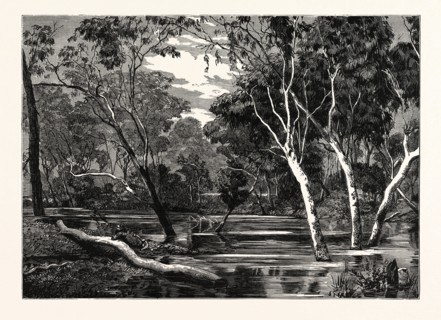 VIEW ON THE OVENS RIVER, VICTORIA.