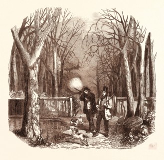 WOODCOCK SHOOTING