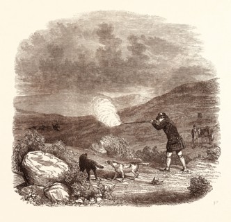 GROUSE SHOOTING IN AUGUST. shotgun, hunting, wild, hunter, wildlife, bird, grouse hunting,