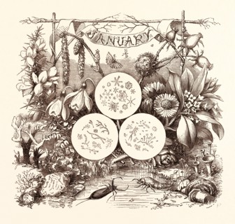 JANUARY, calendar, year, month, monthly