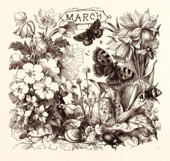 MARCH, calendar, year, month, monthly